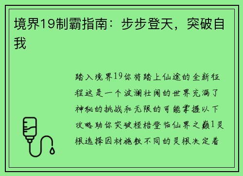 境界19制霸指南：步步登天，突破自我